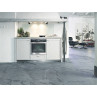Абсорбатор Miele DA 2558